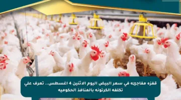 قفزة مفاجئة في سعر البيض اليوم الاثنين 4 أغسطس.. تعرف على تكلفة الكرتونة بالمنافذ الحكومية